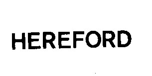 hereford