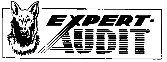 expert-audit expert audit