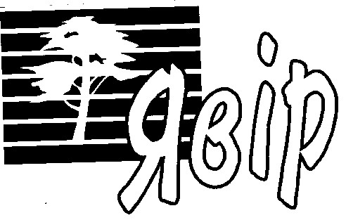 явір