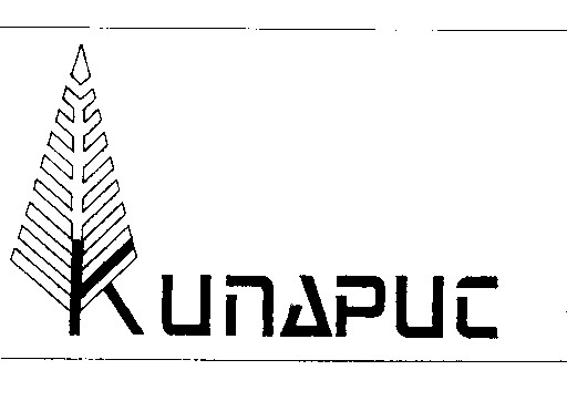 кипарис