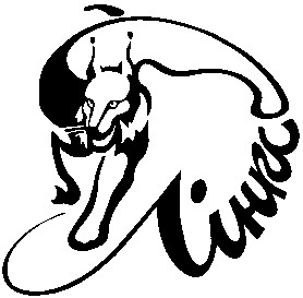 лінкс