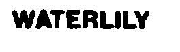 waterlily