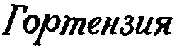 гортензия