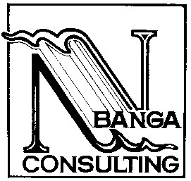 n v banga consulting