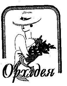 ОРХІДЕЯ