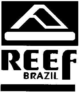 reef brazil