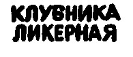 КЛУБНИКА ЛИКЕРНАЯ
