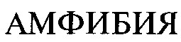 АМФИБИЯ