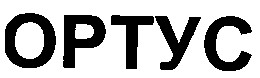 ортус