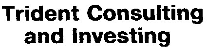 Trident Consulting and Investing