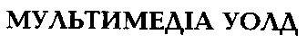 мультимедіа уолд