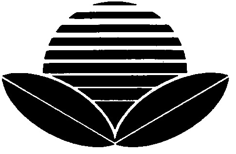 Фігуративна марка № 95082587