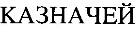 казначей