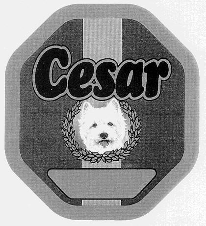 cesar