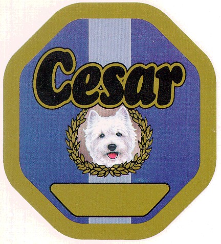 cesar