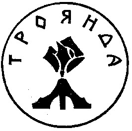 троянда