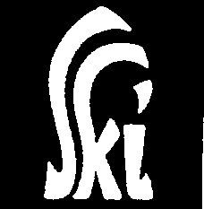 ski