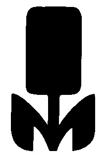 м