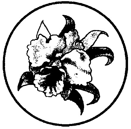 Фігуративна марка № 96102314