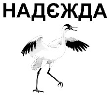 надєжда