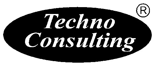 Techno Consulting