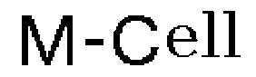 m-cell