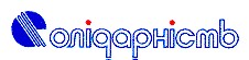 солідарність