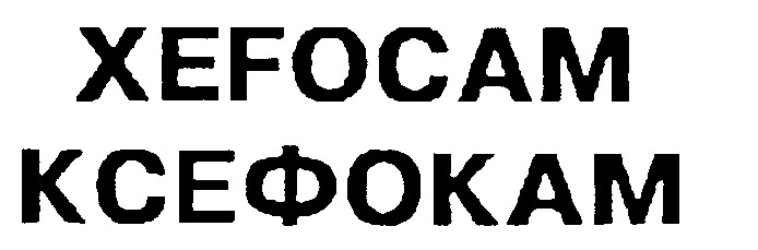 ксефокам xefocam