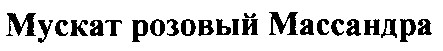 мускат розовый Массандра