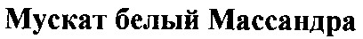 мускат белый массандра