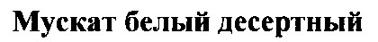 мускат белый десертный
