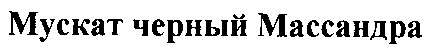 мускат черный массандра