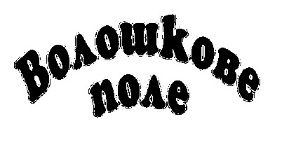 ВОЛОШКОВЕ ПОЛЕ