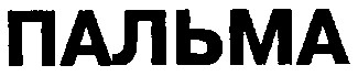 пальма