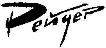 рейдер