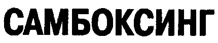 самбоксинг