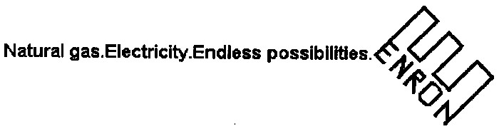 enron natural gas. electricity.endless possibilities.