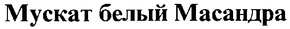 мускат белый масандра