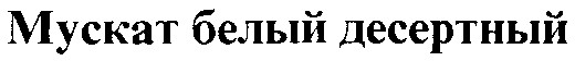 мускат белый десертный