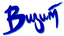 визит