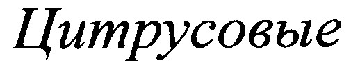 цитрусовые