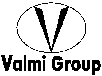 v valmi group