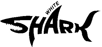 shark white