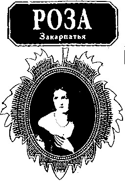 роза закарпатья