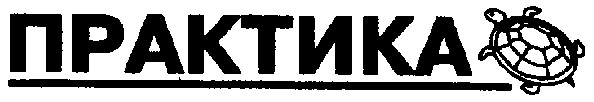 практика