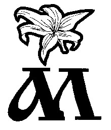am