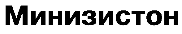 минизистон
