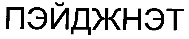 пэйджнэт
