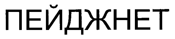 пейджнет