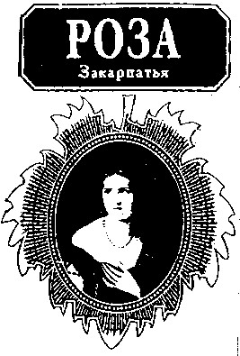роза закарпатья